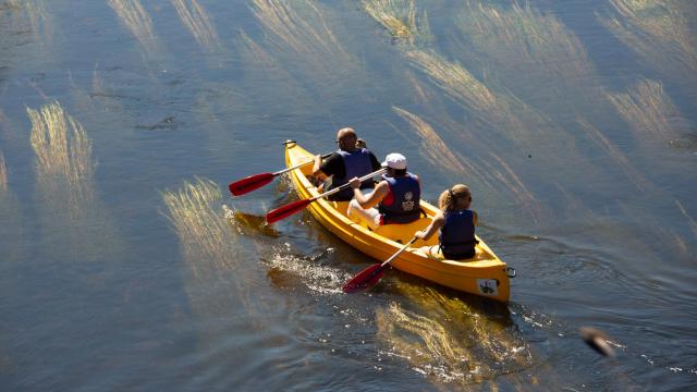 canoe-riviere-dordogne-argentatmalikaturin-00774.jpg