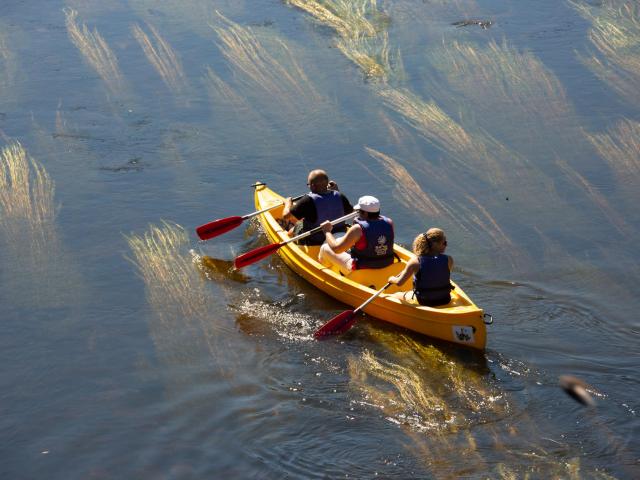 Canoe Riviere Dordogne Argentat©malikaturin 00774