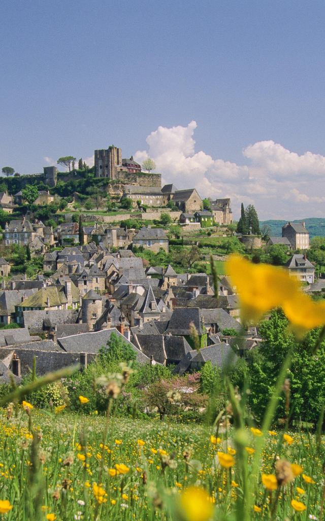 Turenne Vue D'ensemble ©ot Brive