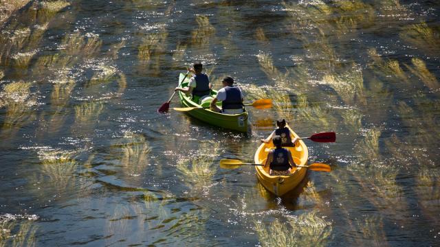 canoe-riviere-dordogne