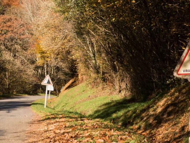 Country Roads In The Dordogne Valley