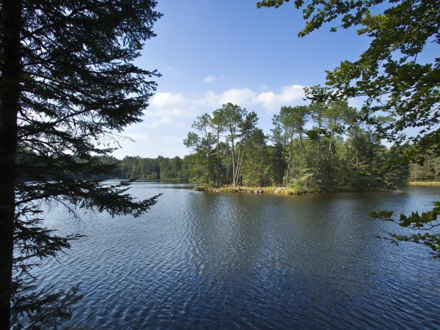 Etang De Ruffaud à Saint Priest De Gimel © Pierre Soissons Corrèze Tourisme Mg 7961