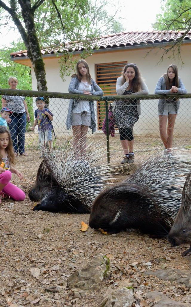 hdef-parc-animalier-de-gramat-site-touristique-gramat-2-michel-blot.jpg