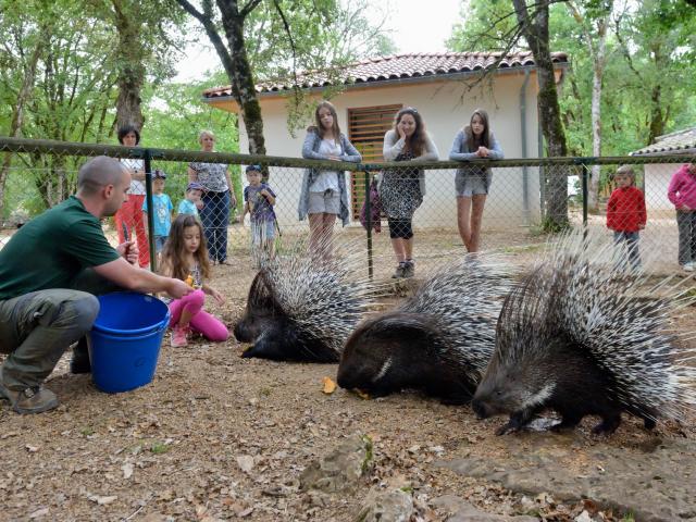 Hdef Parc Animalier De Gramat Site Touristique Gramat 2 @michel Blot