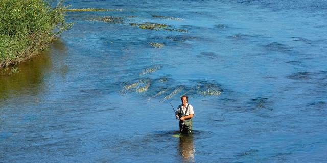 Pêche En Rivière©g.torjman 7998