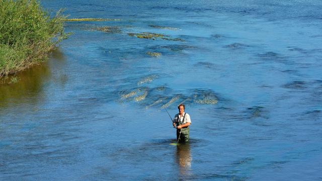 Pêche En Rivière©g.torjman 7998