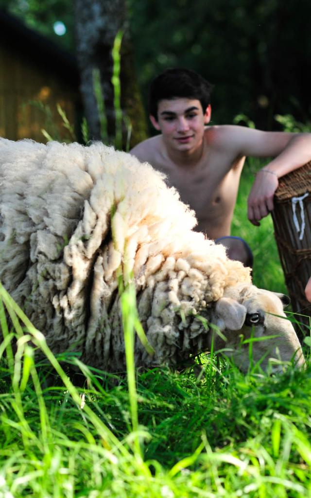 Camping à la ferme