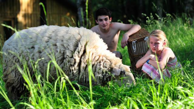 Camping à la ferme