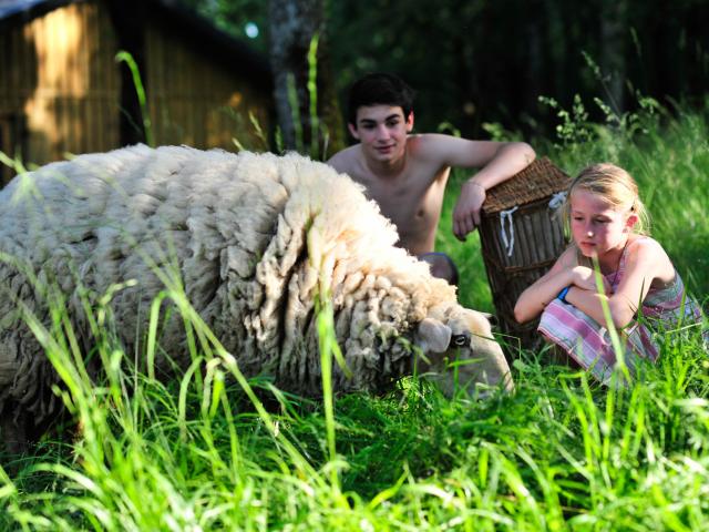 Camping à la ferme