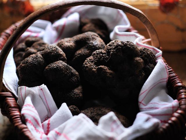 Panier de Truffes