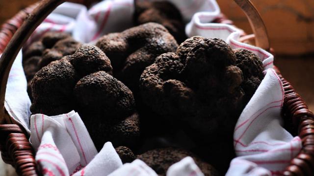 Panier au marché aux Truffes