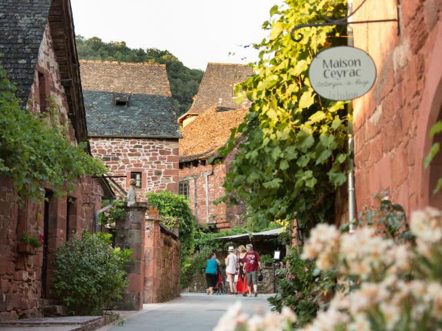 2016 08 15 Restaurant Collonges Malikaturin 00018 Malika Turin.jpg