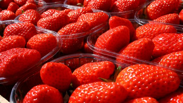 Fraises 2.jpg