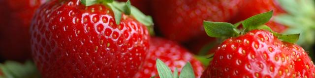 fraises_6.jpg