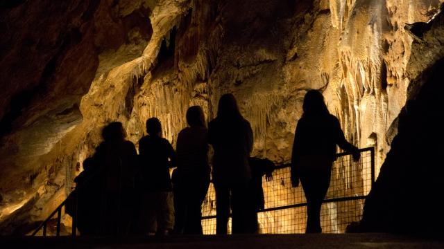 grottes_de_lacave-famillecotvd-v.bouvier.1542.jpg