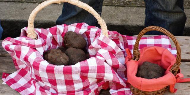 Marché aux Truffes à Lalbenque