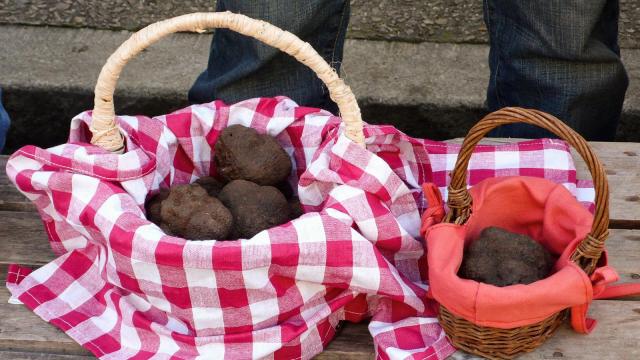 Marché aux Truffes à Lalbenque