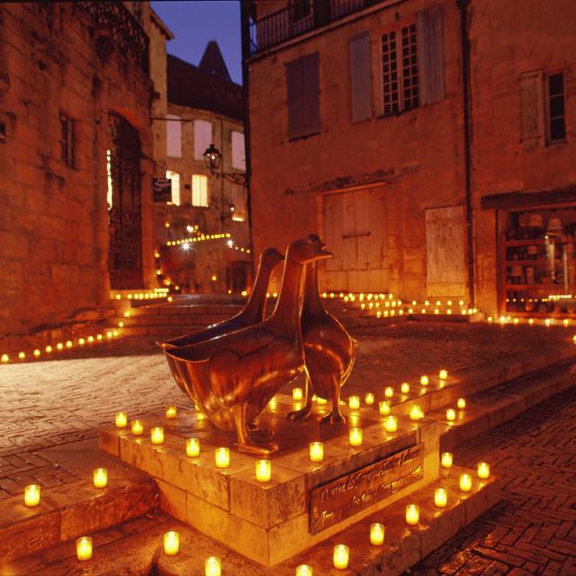 sarlat_nuit_oie.jpg