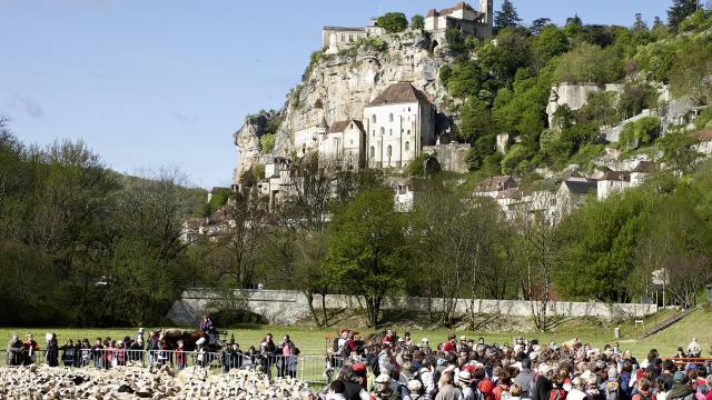 transhumance 2011