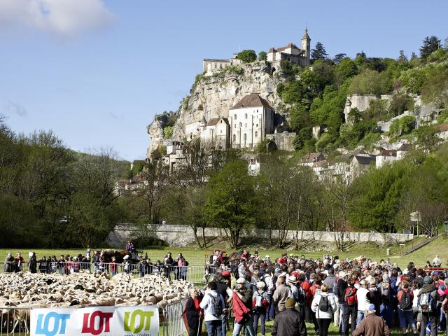 transhumance 2011