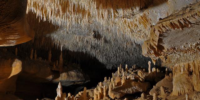 Grottes De Cougnac Gourdon Plafond Salle 0.jpg