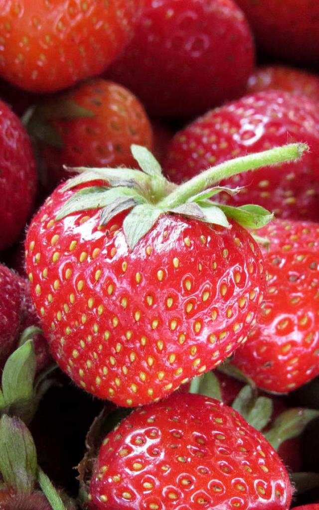 Macro fraise