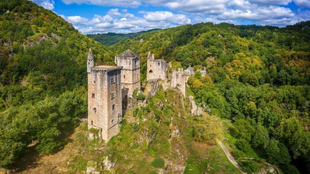 TOURS DE MERLE