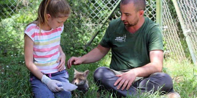 Clement Soigneur D Un Jour Parc Animalier Gramat