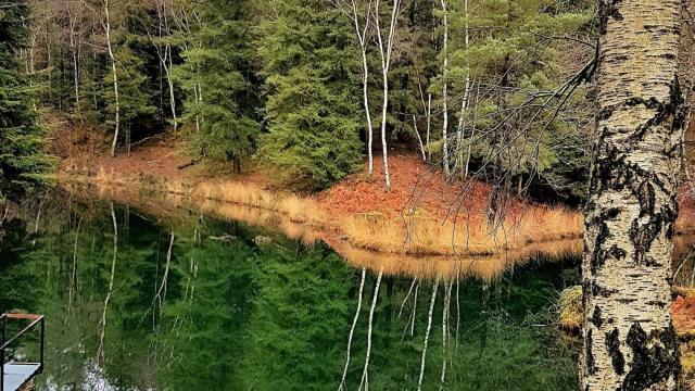 Sousceyrac Le Lac Sauvage