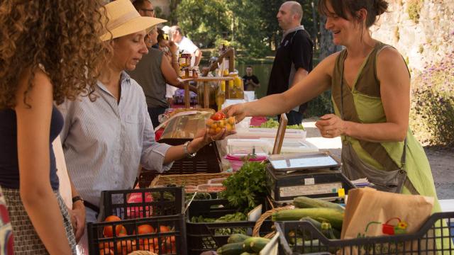 marche-de-pays-beaulieu-sur-dordognemalikaturin-00034-malika-turin.jpg