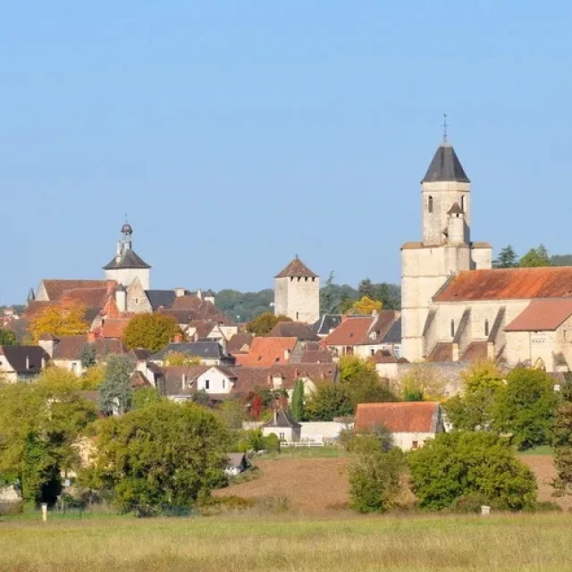 Martel Village Lot Panorama