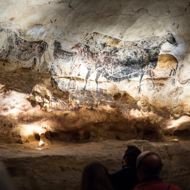 Peintures De La Grotte De Lascaux