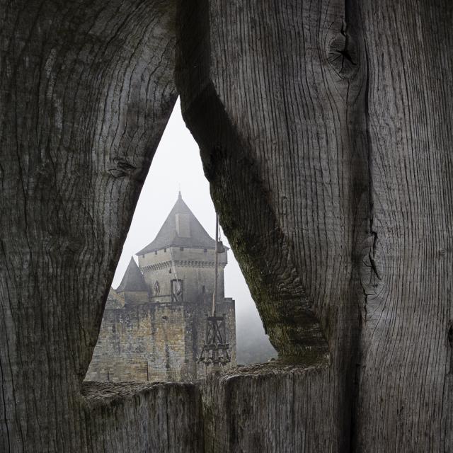 Chateau de Castelnaud