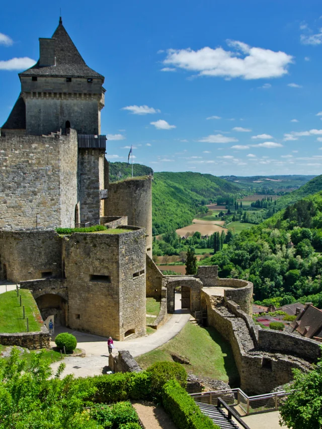 chateau-castelnaud-boutry.jpg