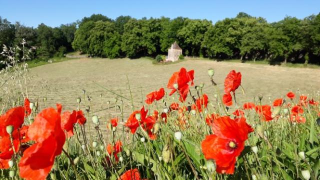 Jardins Grand Couvent