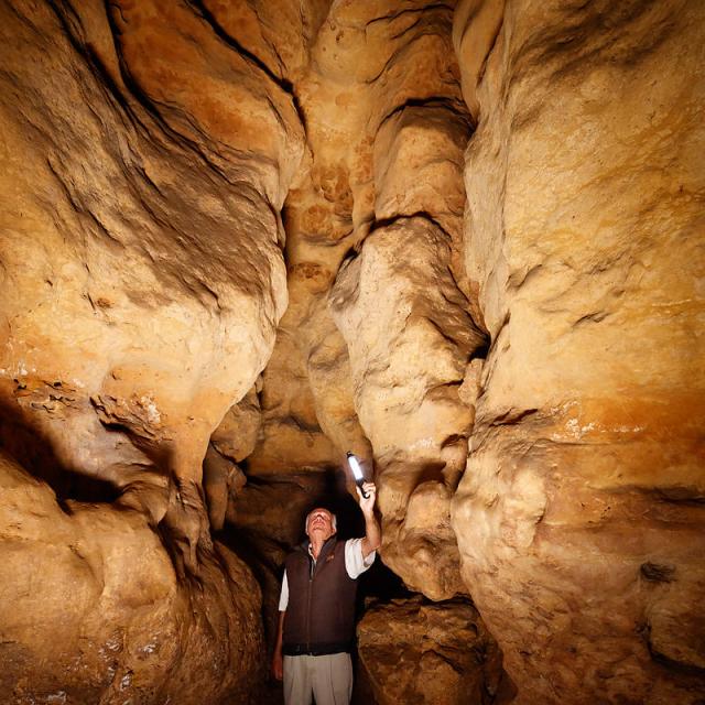 Hubert de Commarque dans la grotte de Commarque sous le chateau, éclairant  différentes sculptures d'animaux taillées dans le roc