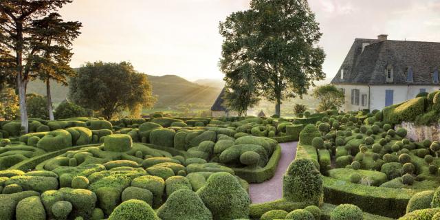 © Laugery Marqueyssac Buis 22062016 Scaled