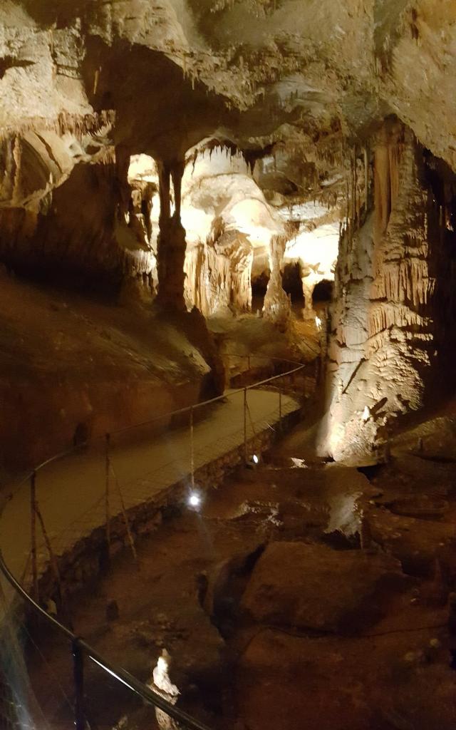 Grotte du Pech Merle