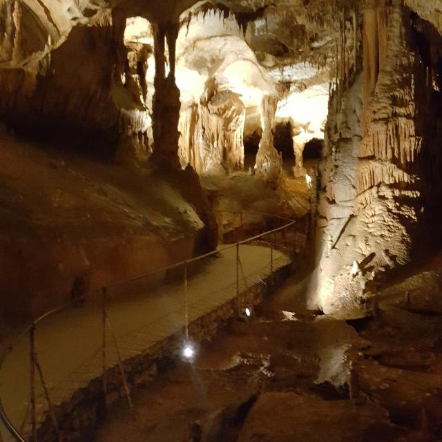 Grotte du Pech Merle