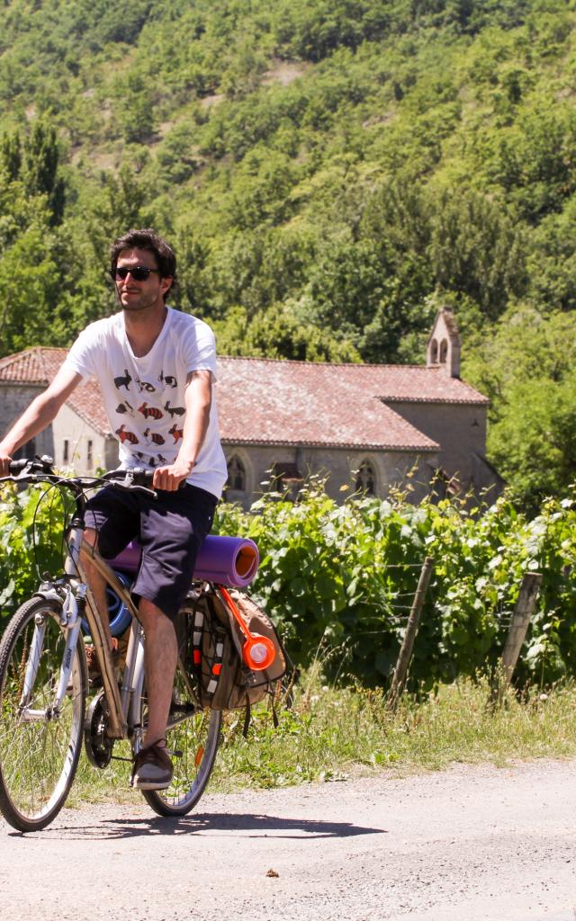 A vélo dans les vignes - Véloroute Vallée du Lot