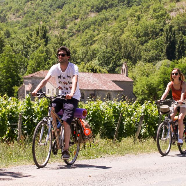 A vélo dans les vignes - Véloroute Vallée du Lot