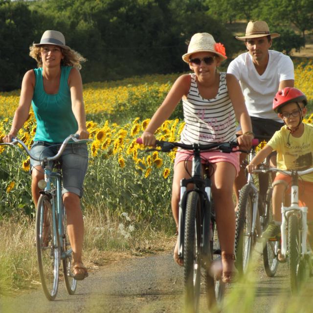 vélo Famille