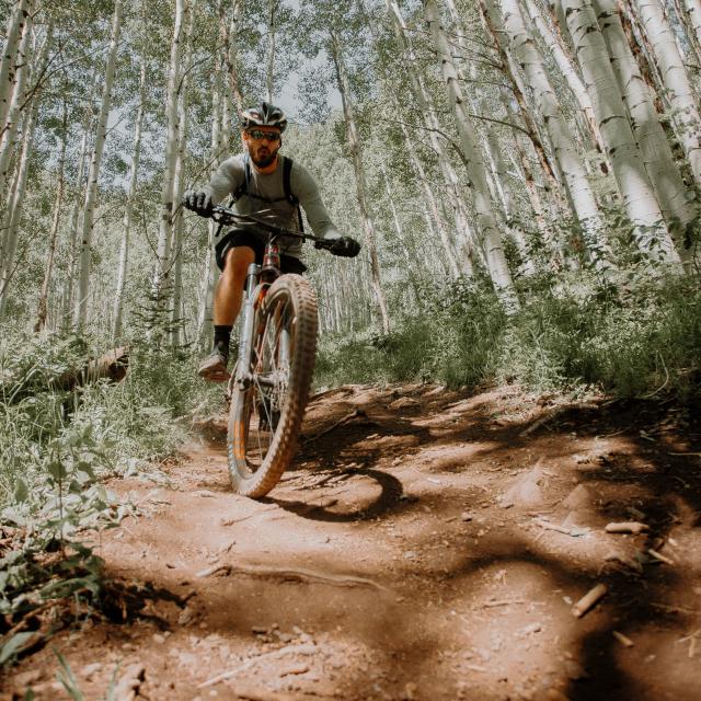 VTT et vélo en foret