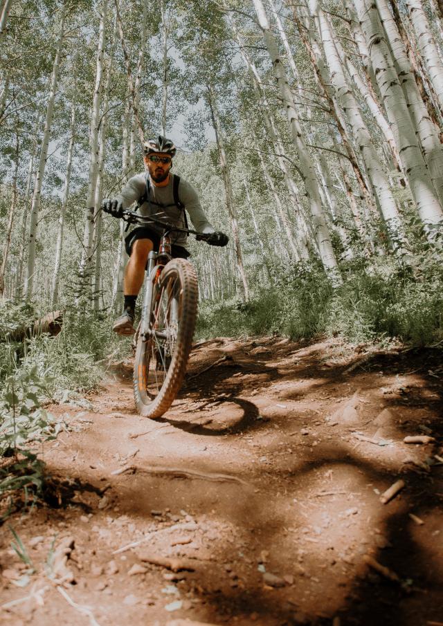 VTT et vélo en foret