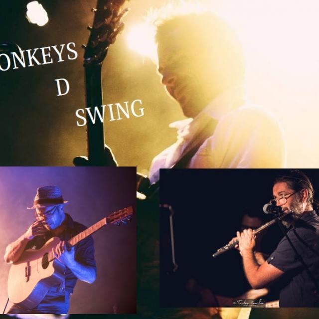 Monkeys D Swing