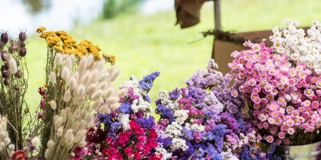 Marché Fleurs Dan Courtice