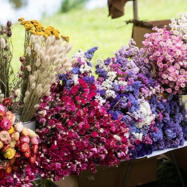 Marché Fleurs Dan Courtice