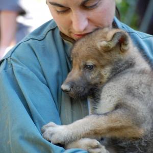 Cindy Richoux, capacitaire animalier au Parc du Thot