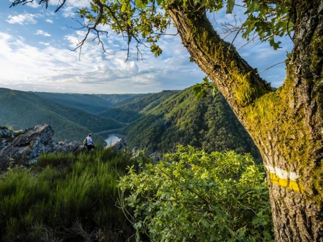 Le belvédère de Gratte-Bruyère offre un panorama à 180° sur la Dordogne. Un point de vue XXL !