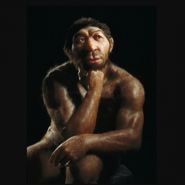 Neandertal